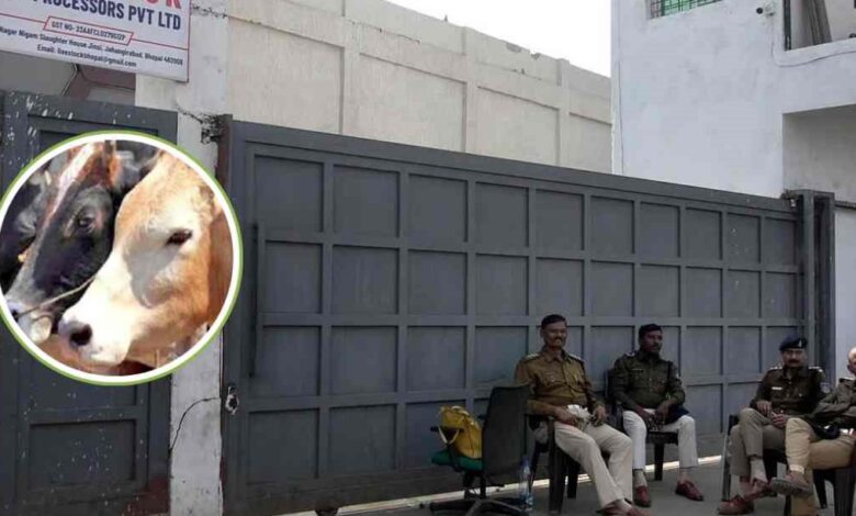भोपाल स्लॉटर हाउस में गौमांस घोटाला: 8 कर्मचारी सस्पेंड, जांच जारी