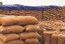 जगदीशपुर में धान की बड़ी चोरी, 8 लाख रुपये का नुकसान