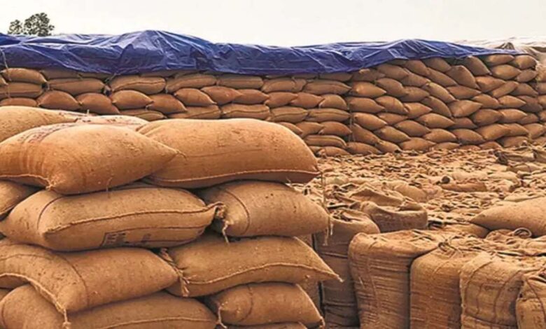 जगदीशपुर में धान की बड़ी चोरी, 8 लाख रुपये का नुकसान