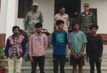 तेलंगाना के बूचड़खाना ले जा रहे 56 गौवंश के साथ 5 युवक गिरफ्तार