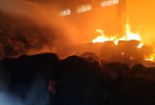 नर्सरहा बीज भंडार में भीषण आग, लाखों रुपये के धान जलकर राख