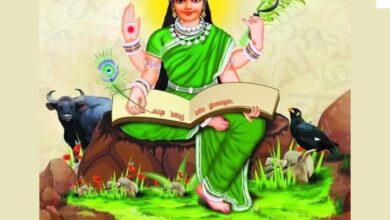 छत्तीसगढ़ की साहित्यिक परंपरा लोक, स्मृति और चेतना की सतत यात्रा