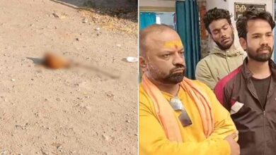 जबलपुर में सड़क किनारे बछड़े का सिर मिलने से हड़कंप