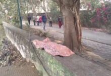 नरैया तालाब पर महिला का शव बरामद, पुलिस जांच में जुटी नरैया तालाब पर महिला का शव बरामद, पुलिस जांच में जुटी