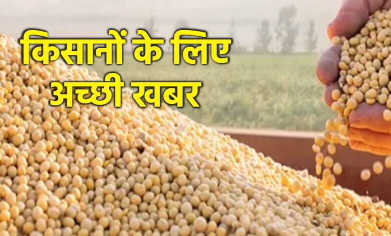 MP सरकार ने भावांतर योजना में बढ़ाया सोयाबीन का मॉडल रेट, 4458 रुपए प्रति क्विंटल