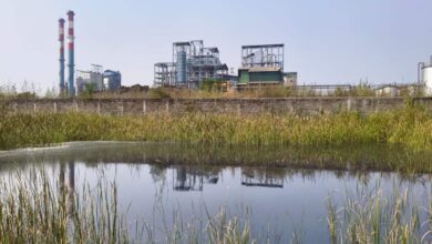 भिलाई में मोदी बायोटेक प्लांट दूषित पानी से किसान और पशु परेशान भिलाई में मोदी बायोटेक प्लांट दूषित पानी से किसान और पशु परेशान