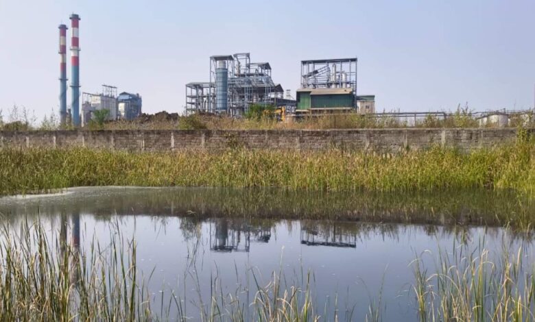 भिलाई में मोदी बायोटेक प्लांट दूषित पानी से किसान और पशु परेशान