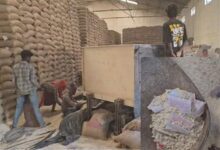 घुन लगे चावल की सफाई कर फिर सप्लाई की तैयारी, मजदूरों को जोखिम में रखा गया