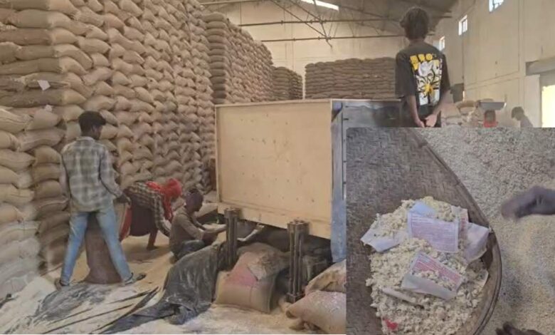 घुन लगे चावल की सफाई कर फिर सप्लाई की तैयारी, मजदूरों को जोखिम में रखा गया