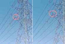 जन्मदिन की पार्टी के बाद युवक हाईटेंशन लाइन पर चढ़ा, गांव में मचा हड़कंप