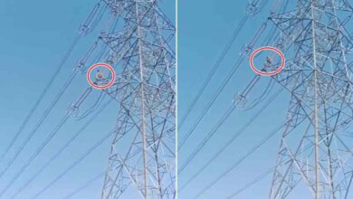 जन्मदिन की पार्टी के बाद युवक हाईटेंशन लाइन पर चढ़ा, गांव में मचा हड़कंप