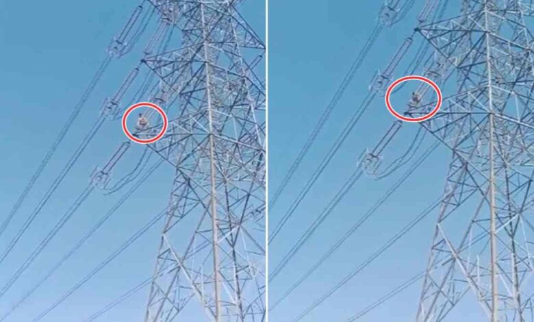 जन्मदिन की पार्टी के बाद युवक हाईटेंशन लाइन पर चढ़ा, गांव में मचा हड़कंप