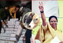 गोमांस मामले में हड़कंप, भोपाल स्लॉटर हाउस पूरी तरह सील