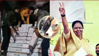 गोमांस मामले में हड़कंप, भोपाल स्लॉटर हाउस पूरी तरह सील