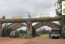 26 जनवरी को नंदनवन जंगल सफारी में एंट्री, वन विभाग का फैसला