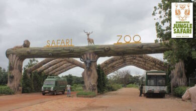 26 जनवरी को नंदनवन जंगल सफारी में एंट्री, वन विभाग का फैसला