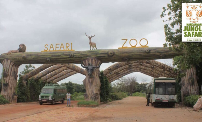 26 जनवरी को नंदनवन जंगल सफारी में एंट्री, वन विभाग का फैसला