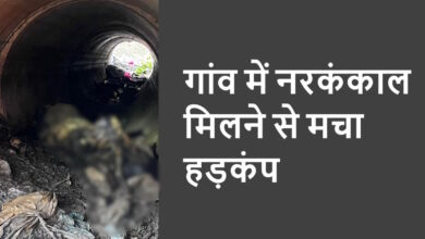 पैलीमेटा गांव में सड़क किनारे कंकाल मिलने से मचा हड़कंप