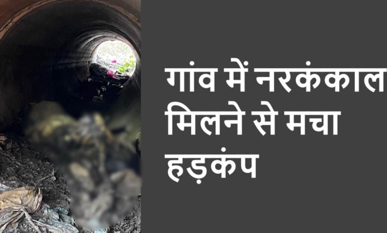 पैलीमेटा गांव में सड़क किनारे कंकाल मिलने से मचा हड़कंप