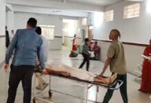 मवेशी विवाद बना जानलेवा: कुल्हाड़ी से हमला, 65 वर्षीय किसान की मौत