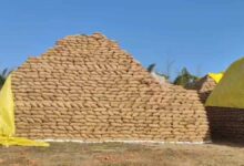 सूरजपुर के धान खरीदी केंद्र में भारी कमी, 6,470 बोरी धान गायब