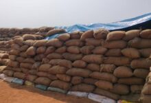 धान खरीदी ठप डोकराभाठा केंद्र में किसानों की मुश्किलें बढ़ीं