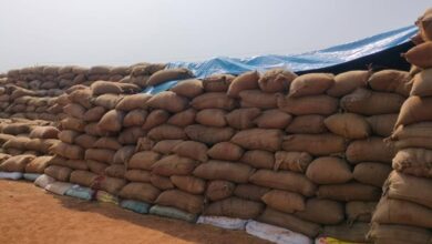 धान खरीदी ठप डोकराभाठा केंद्र में किसानों की मुश्किलें बढ़ीं