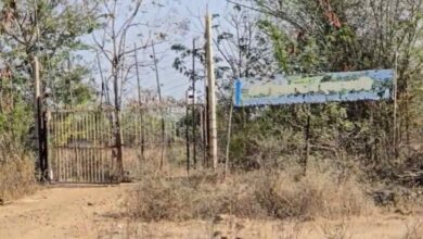 नशे की नर्सरी में छापा, मेफेड्रोन सहित भारी मात्रा में ड्रग्स बरामद