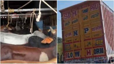 35 गोवंश से भरा कंटेनर पकड़ा, पुलिस और हिंदू संगठनों की संयुक्त कार्रवाई