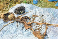 खेत की झाड़ियों से मिला तीन माह पहले लापता युवती के कंकाल 