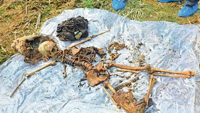 खेत की झाड़ियों से मिला तीन माह पहले लापता युवती के कंकाल 