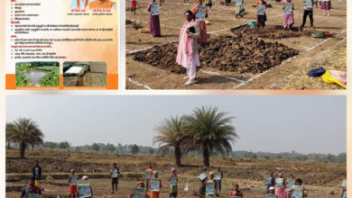 मोर गांव-मोर पानी के तहत 436 आजीविका डबरियां के निर्माण का लक्ष्य, 255 की मिली स्वीकृति