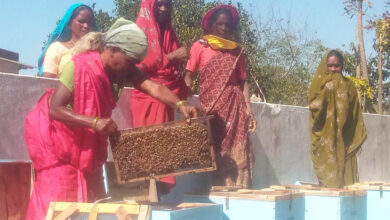 मधुमक्खी पालन से स्व-सहायता समूह की आय में वृद्धि