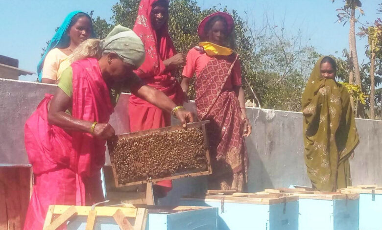 मधुमक्खी पालन से स्व-सहायता समूह की आय में वृद्धि