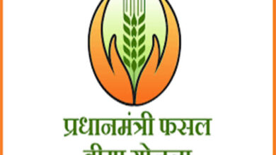 सूबे के 4 जिलों में 178.37 करोड़ के फसल बीमा दावों का निपटारा सूबे के 4 जिलों में 178.37 करोड़ के फसल बीमा दावों का निपटारा