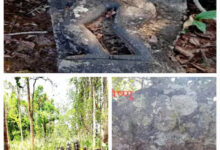 नेशनल पार्क इलाके में बिखरी पड़ी दुर्लभ मूर्तियां, पुरातत्व विभाग बेखबर