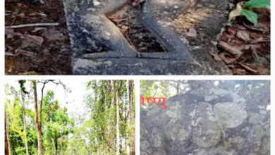 नेशनल पार्क इलाके में बिखरी पड़ी दुर्लभ मूर्तियां, पुरातत्व विभाग बेखबर नेशनल पार्क इलाके में बिखरी पड़ी दुर्लभ मूर्तियां, पुरातत्व विभाग बेखबर