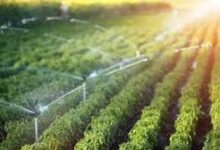 केंदा व्यपवर्तन और सल्का नवागांव उद्वहन सिंचाई योजना के लिए 7.15 करोड़ स्वीकृत