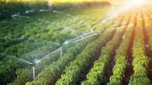 केंदा व्यपवर्तन और सल्का नवागांव उद्वहन सिंचाई योजना के लिए 7.15 करोड़ स्वीकृत