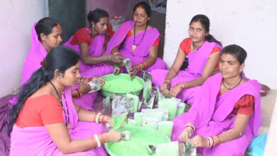 इस बार प्राकृतिक रंगों से रंगीन होगी होली : स्व सहायता समूह की महिलाएं कर रही है प्राकृतिक गुलाल का निर्माण इस बार प्राकृतिक रंगों से रंगीन होगी होली : स्व सहायता समूह की महिलाएं कर रही है प्राकृतिक गुलाल का निर्माण