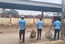 रायपुर स्टेशन पर रेलवे स्टेशन परिसर में आवारा कुत्तों की धरपकड़ शुरु