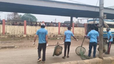 रायपुर स्टेशन पर रेलवे स्टेशन परिसर में आवारा कुत्तों की धरपकड़ शुरु रायपुर स्टेशन पर रेलवे स्टेशन परिसर में आवारा कुत्तों की धरपकड़ शुरु
