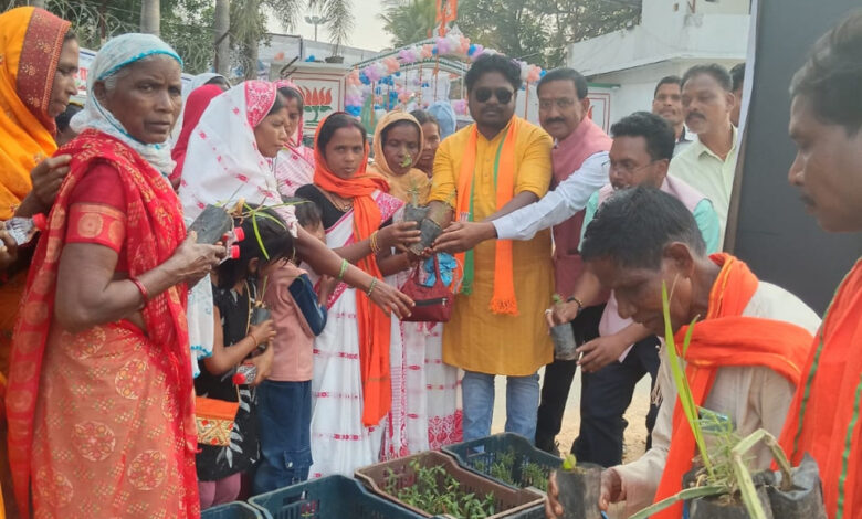 मुख्यमंत्री साय के जन्मदिवस पर पादप बोर्ड द्वारा 2100 औषधीय पौधों का वितरण मुख्यमंत्री साय के जन्मदिवस पर पादप बोर्ड द्वारा 2100 औषधीय पौधों का वितरण