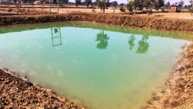 राष्ट्रीय ग्रामीण रोजगार गारंटी योजना: मजबूत हुई आजीविका की राह राष्ट्रीय ग्रामीण रोजगार गारंटी योजना: मजबूत हुई आजीविका की राह