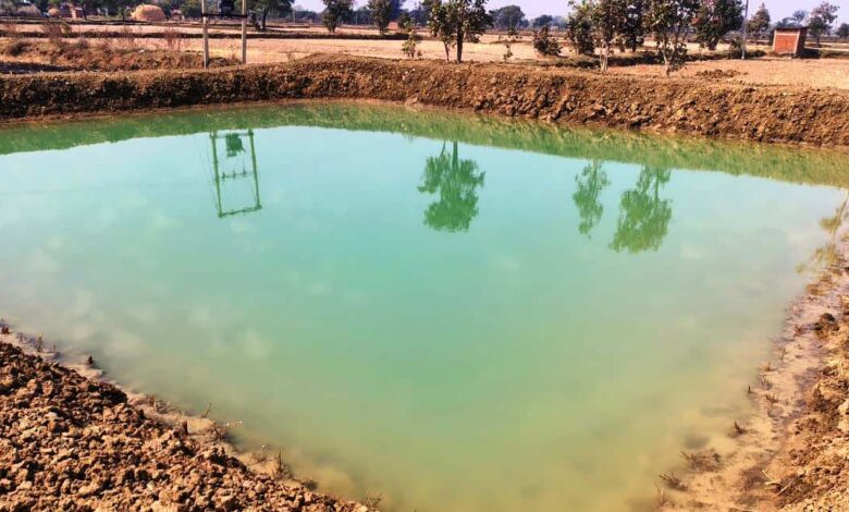 राष्ट्रीय ग्रामीण रोजगार गारंटी योजना: मजबूत हुई आजीविका की राह