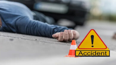 मेंद्री घूमर मोड़ के पास स्कॉर्पियो अनियंत्रित होकर पलटी, तीन की मौत, 6 गंभीर