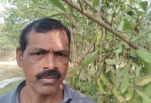 टसर कृमिपालन ने बदली तकदीर, ध्रुवकुमार बने आत्मनिर्भर, पलायन से मिली मुक्ति