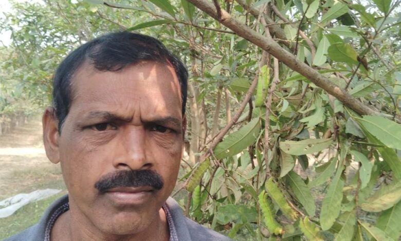 टसर कृमिपालन ने बदली तकदीर, ध्रुवकुमार बने आत्मनिर्भर, पलायन से मिली मुक्ति टसर कृमिपालन ने बदली तकदीर, ध्रुवकुमार बने आत्मनिर्भर, पलायन से मिली मुक्ति