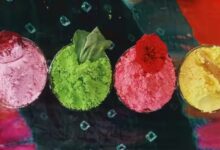 बस्तर की बिहान दीदियां घोलेंगी होली में कुदरती रंग