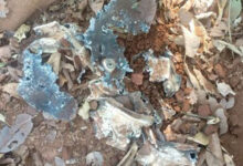 कुरकुंज के जंगल से 5 किलोग्राम वजनी आईईडी बरामद